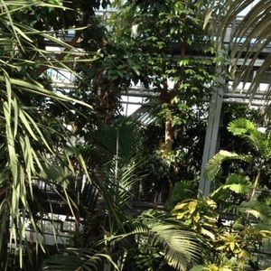 Meet your Posher, Eena